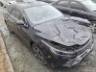2025 BYD KING 