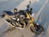 2026 TRIUMPH SPEED 