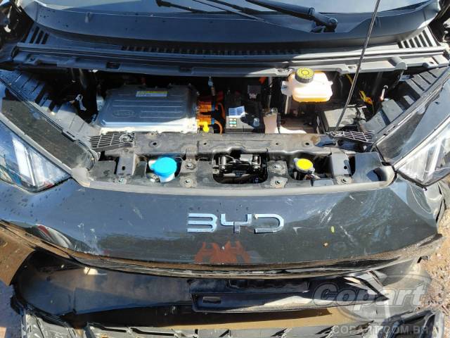 2025 BYD DOLPHIN MINI 