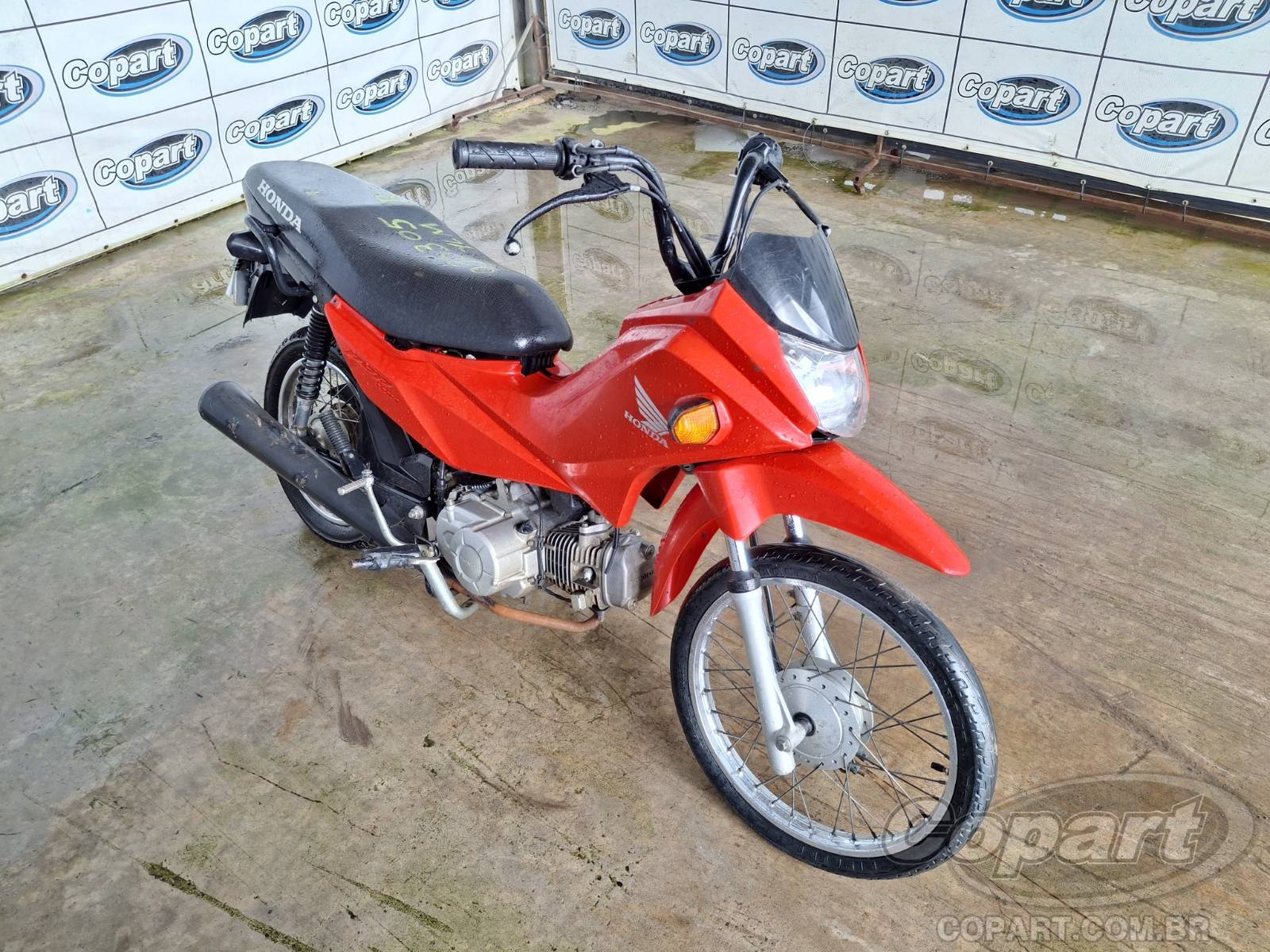 HONDA POP 2022