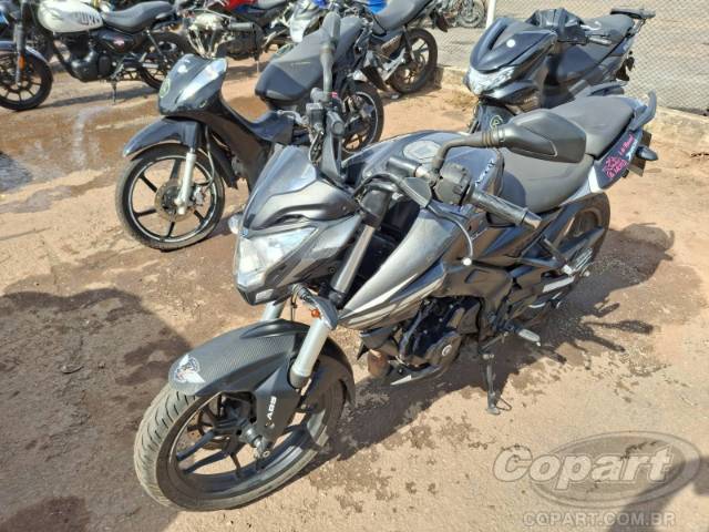 2024 BAJAJ DOMINAR 