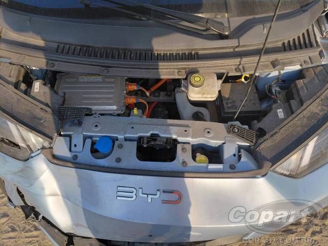 2026 BYD DOLPHIN MINI 