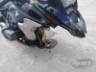 2020 BMW R 1250 
