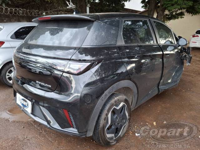 2024 BYD DOLPHIN 