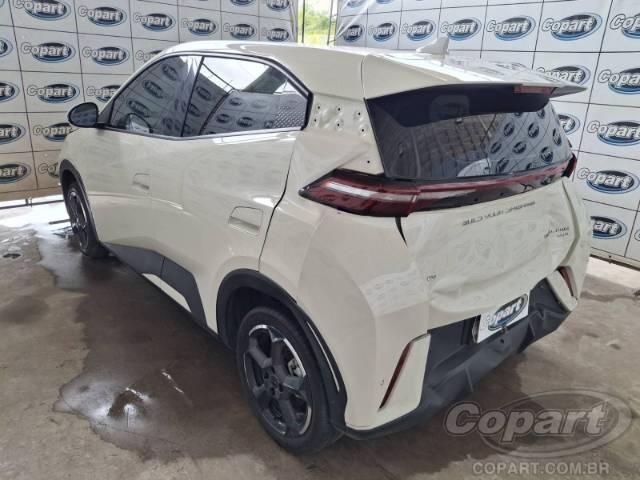 2025 BYD DOLPHIN MINI 