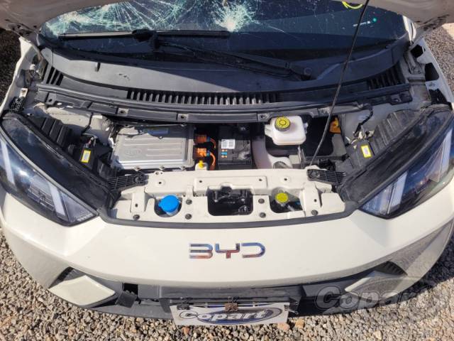 2025 BYD DOLPHIN MINI 
