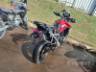 2024 TRIUMPH TIGER 