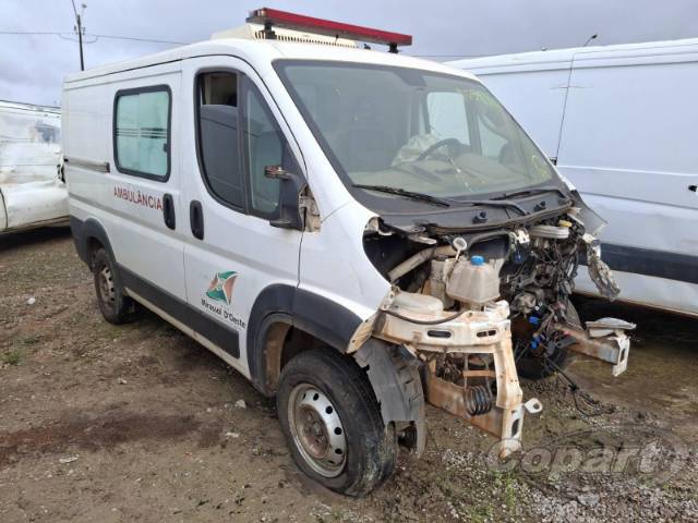 2019 FIAT DUCATO FURGAO 