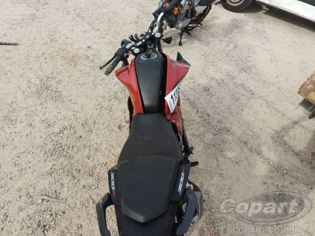 2025 HONDA CB 300F 