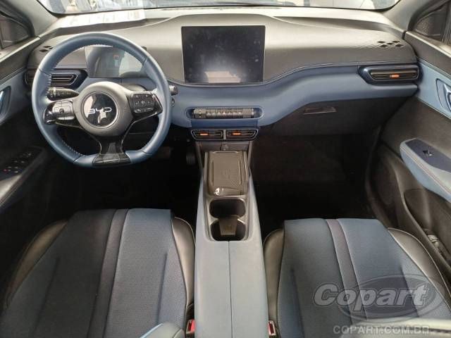 2025 BYD DOLPHIN MINI 