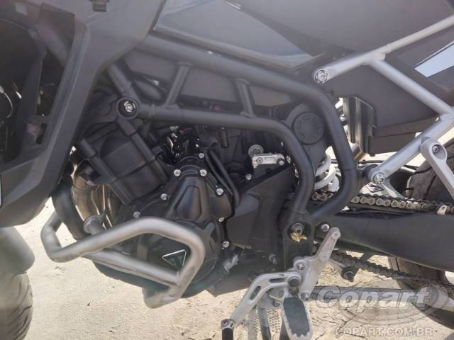 2024 TRIUMPH TIGER 