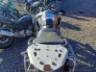 2025 TRIUMPH TIGER 