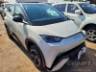 2025 BYD DOLPHIN MINI 