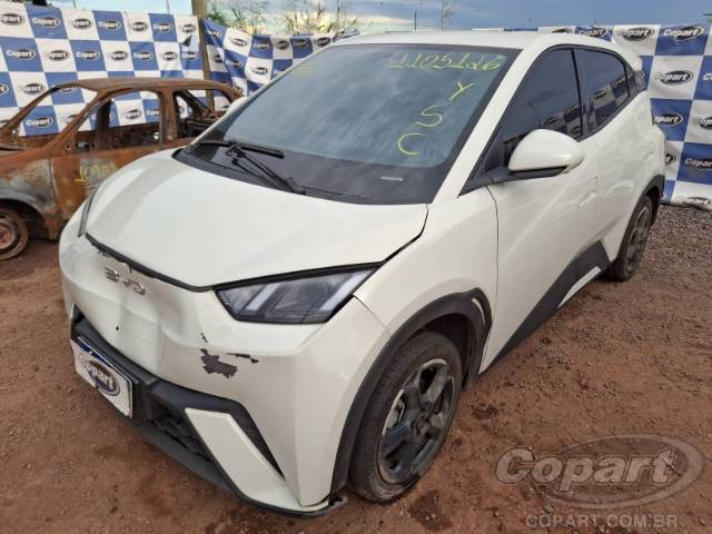 2025 BYD DOLPHIN MINI 