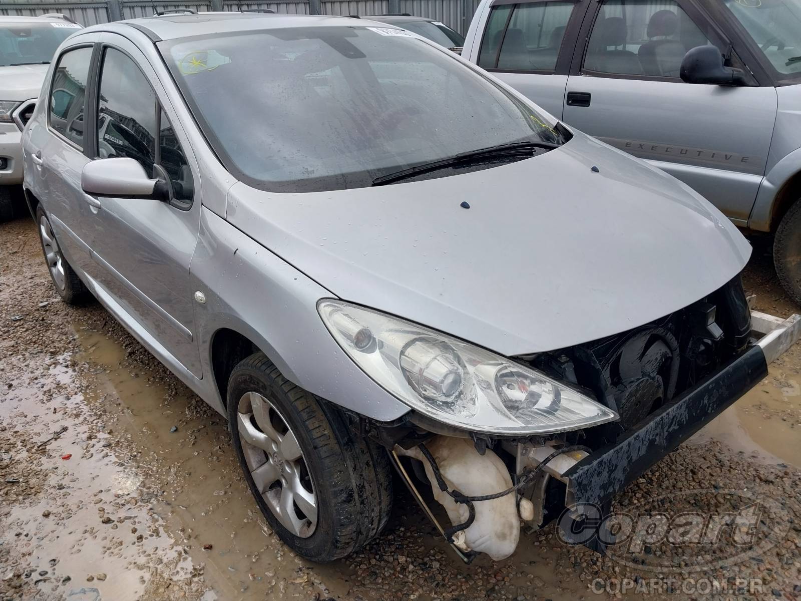 PEUGEOT 307 Griffe 2.0 16V 2008