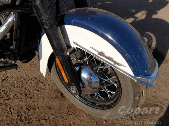2019 HARLEY-DAVIDSON SOFTAIL 