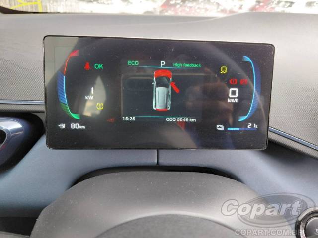 2025 BYD DOLPHIN MINI 