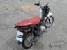 2026 HONDA POP 