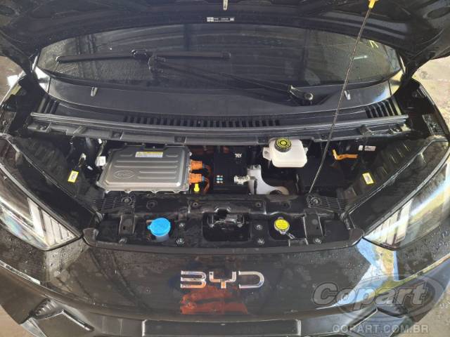 2025 BYD DOLPHIN MINI 