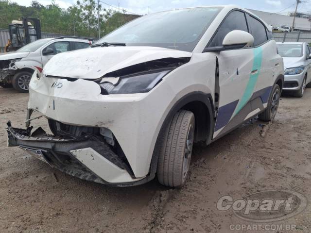 2025 BYD DOLPHIN MINI 