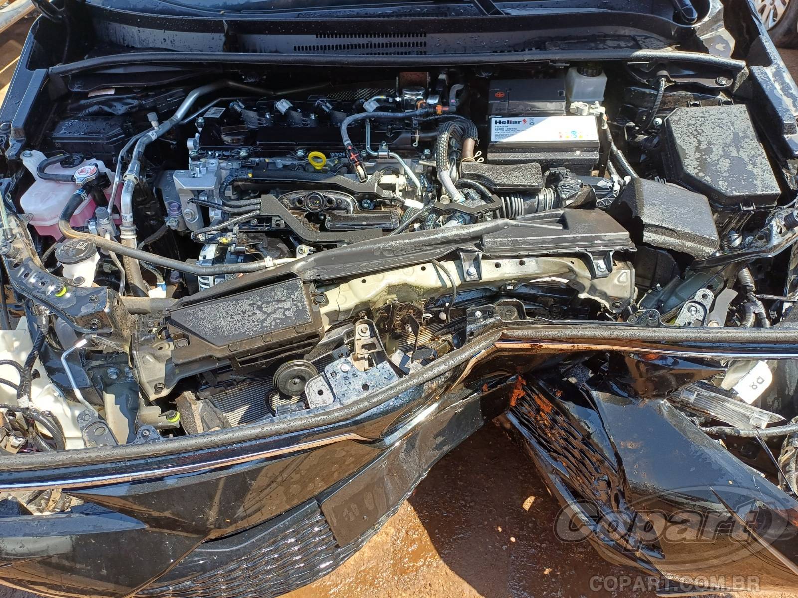 Foto 7 de 10: 2025 TOYOTA COROLLA
