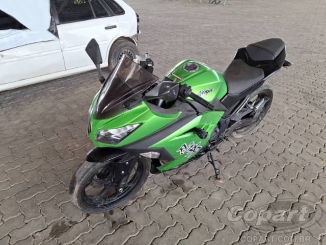 2024 KAWASAKI NINJA 300 