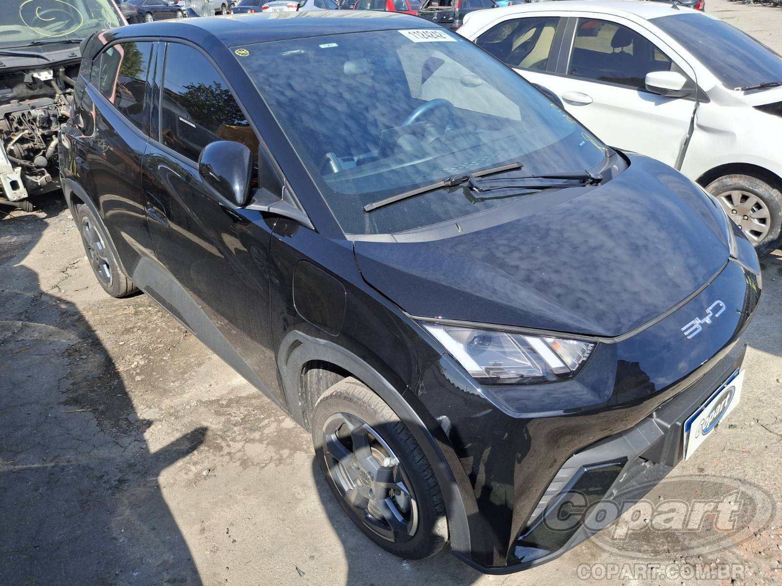 BYD Dolphin Mini 2025