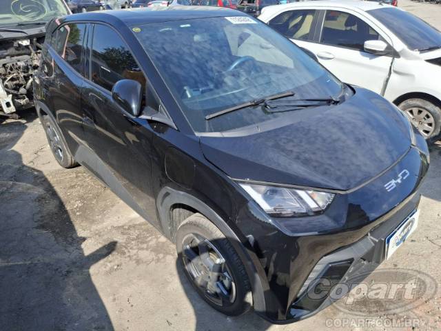 2025 BYD DOLPHIN MINI 