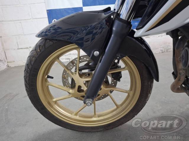 2025 YAMAHA FZ25 FAZER 