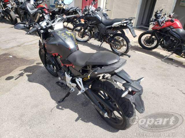 2023 HONDA CB 300F 