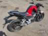 2023 HONDA CB 300F 
