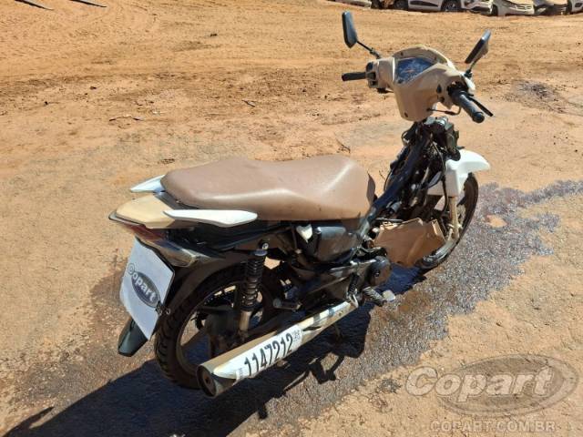 2023 SHINERAY 50Q 