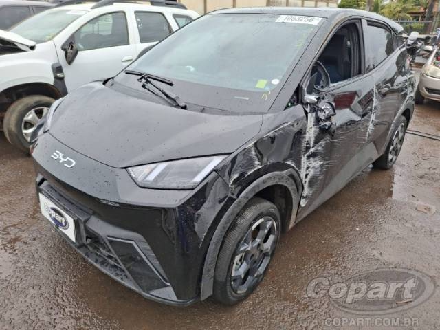 2026 BYD DOLPHIN MINI 