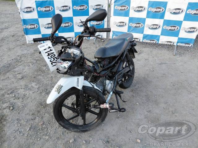 2019 HONDA POP 