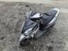 2023 HONDA ELITE 