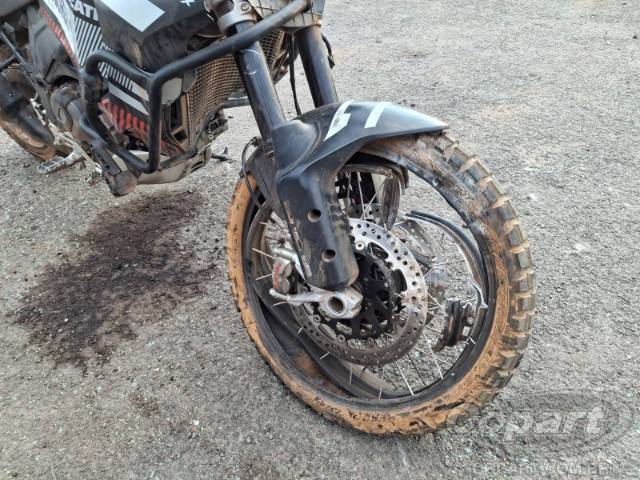 2024 DUCATI DESERTX 