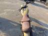 2024 ROYAL ENFIELD CLASSIC 
