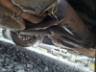 2005 FIAT SIENA 
