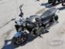 2024 TRIUMPH SPEED TWIN 