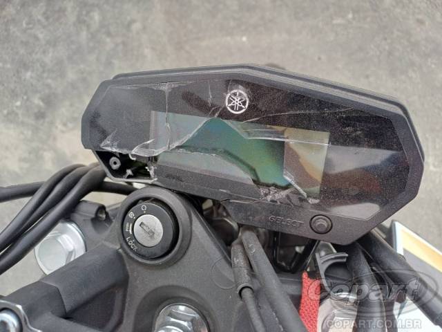 2025 YAMAHA FZ25 FAZER 