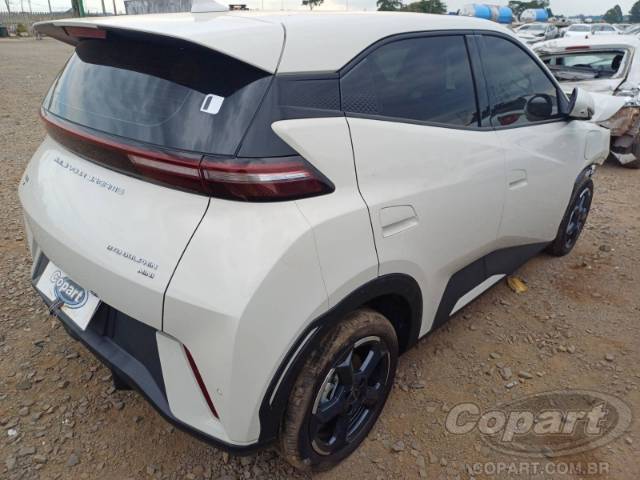 2025 BYD DOLPHIN MINI 