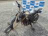 2024 YAMAHA XTZ 250 