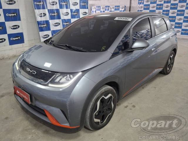 2025 BYD DOLPHIN 