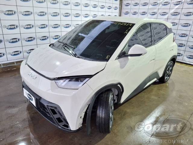 2026 BYD DOLPHIN MINI 