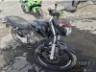 2024 HONDA CG 160 