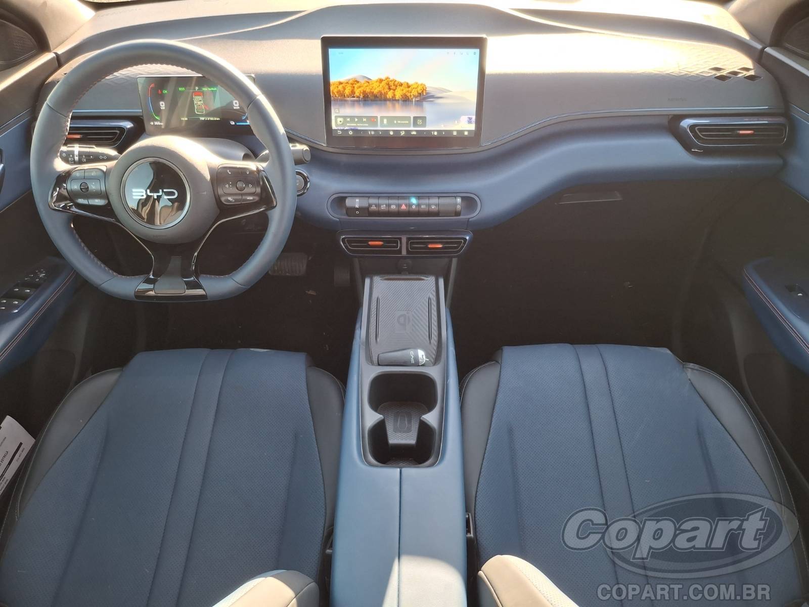 2027 BYD DOLPHIN MINI — foto 9 de 10