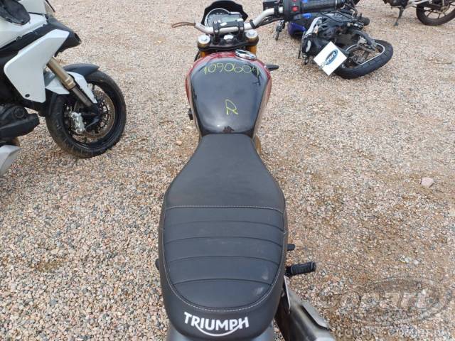 2025 TRIUMPH SPEED 