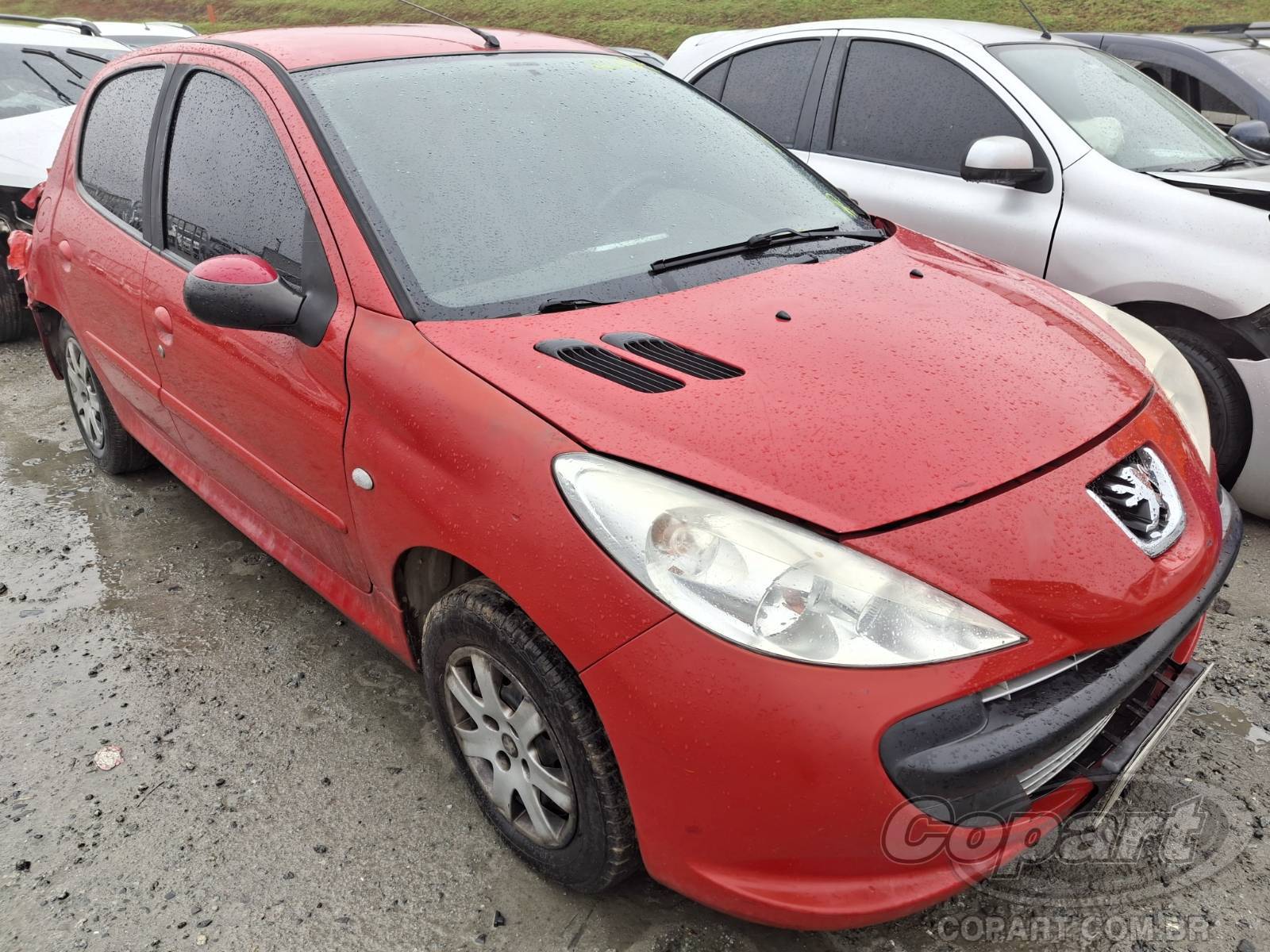 Peugeot 207 2011 Flex