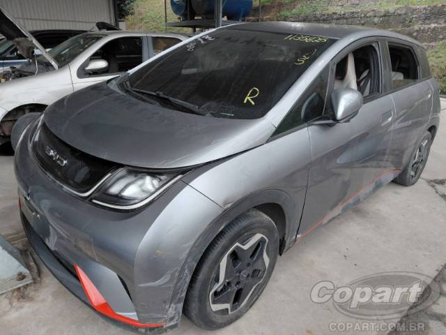 2024 BYD DOLPHIN 