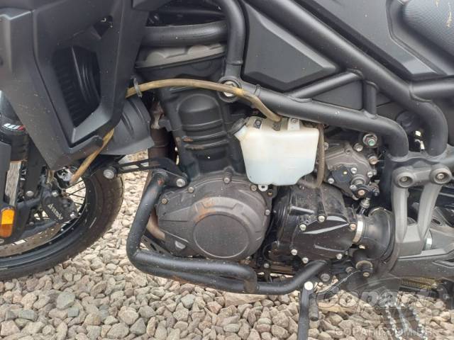 2021 TRIUMPH TIGER 